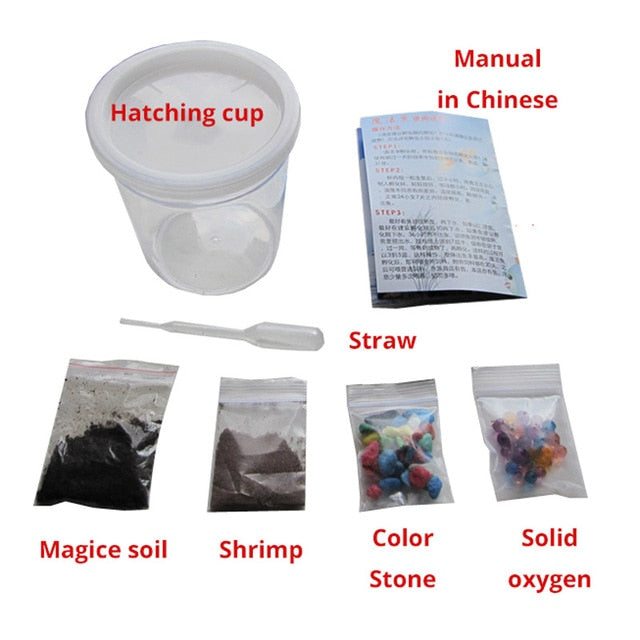Magic ground Angel fish Egg in soil Hatching earth real fish Pet